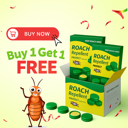 Cockroach Killer Powder Gel (Pack of 24pc)